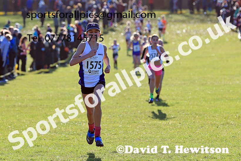 Girls under-13s 2025 Northern Cross Country Champs, Tatton Park, Knutsford, Cheshire. Photo: David T. Hewitson/Sports for All Pics